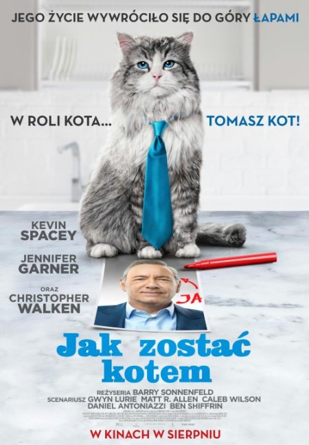 JAK ZOSTAĆ KOTEM